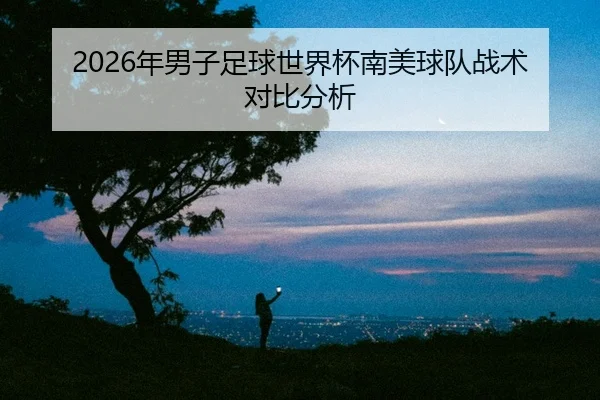 2026年男子足球世界杯南美球队战术对比分析