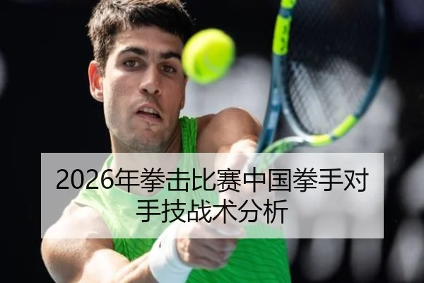 2026年拳击比赛中国拳手对手技战术分析