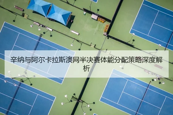 xin-na-yu-a-er-ka-la-si-ao-wang-ban-jue-sai-ti-neng-fen-pei-ce-lve-shen-du-jie-xi-3-627.jpg