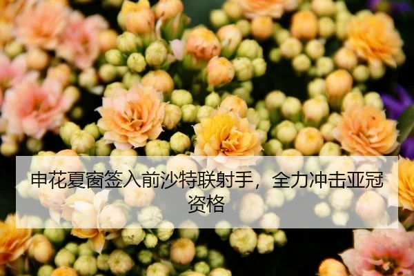 申花夏窗签入前沙特联射手，全力冲击亚冠资格