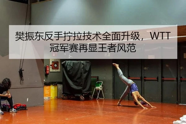 樊振东反手拧拉技术全面升级，WTT冠军赛再显王者风范